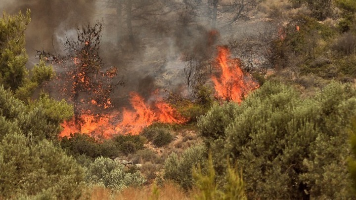 Επιβολή διοικητικών προστίμων για πρόκληση πυρκαγιών σε Ζάκυνθο και Αιτωλοακαρνανία