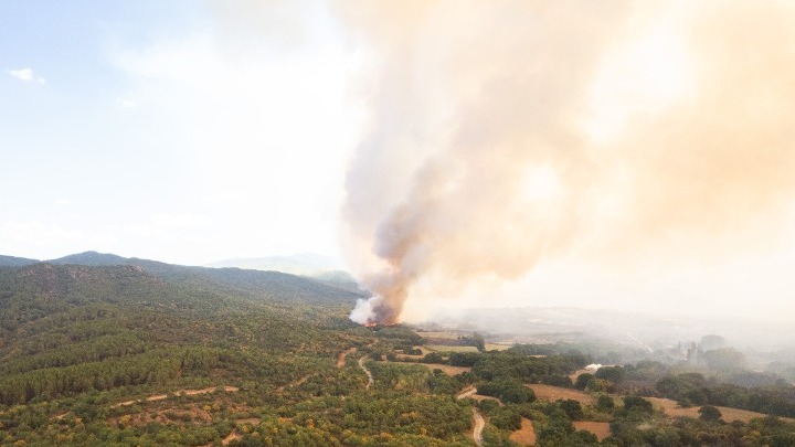 Πυρκαγιά στην περιοχή του Γραμματικού στο Μαραθώνα