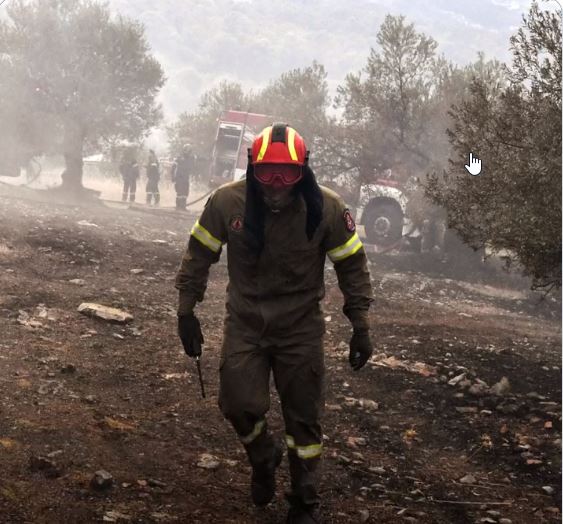 38 δασικές πυρκαγιές εκδηλώθηκαν το τελευταίο 24ωρο