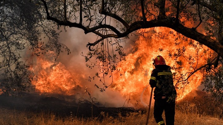 Συνεχίζεται η μάχη με τις φλόγες στη Θάσο – Μήνυμα από το 112 για εκκένωση οικισμού