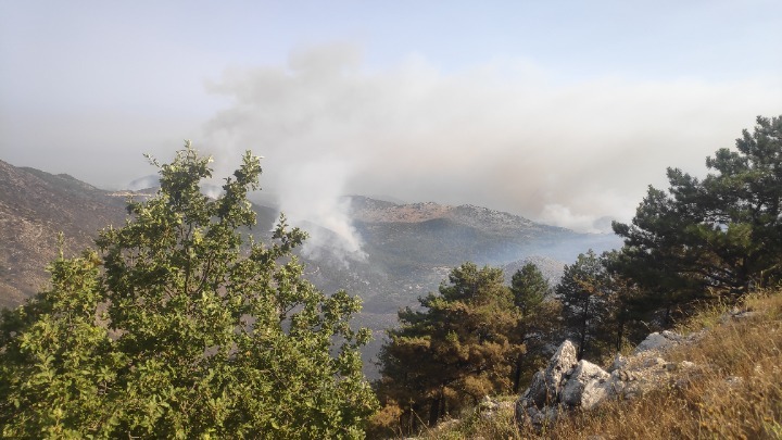 Συνεχίζεται η μάχη με τις φλόγες σε Ρόδο και Κέρκυρα – Διάσπαρτες εστίες σε Κάρυστο και Δερβενάκι