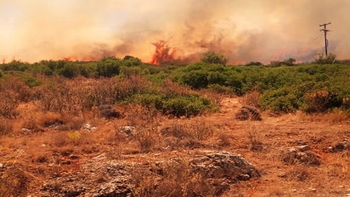 Συλλήψεις και επιβολή διοικητικών προστίμων σε Ρέθυμνο, Κορινθία, Λακωνία, Ηλεία, Αρκαδία και Εύβοια