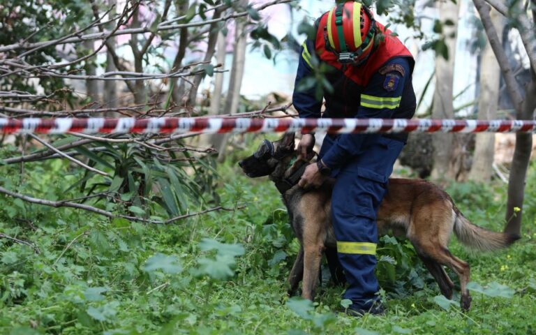 Καβάλα: Αίσιο τέλος για ζευγάρι πεζοπόρων