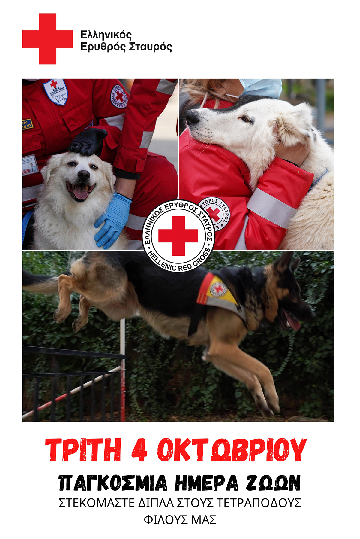 Ελληνικός Ερυθρός Σταυρός: Δράση ενημέρωσης για την ορθή αντιμετώπιση των οικόσιτων ζώων σε περιπτώσεις έκτακτης ανάγκης