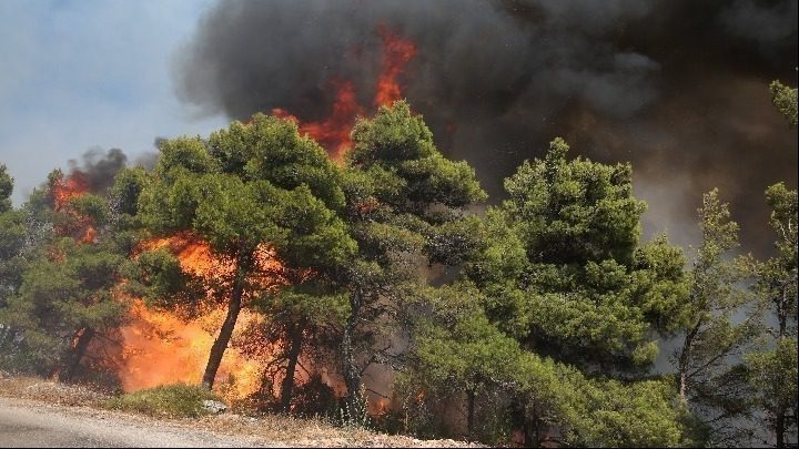 Πολύ υψηλός κίνδυνος πυρκαγιάς σήμερα σε Αττική, Στερεά Ελλάδα, Πελοπόννησο, Κρήτη και Αιγαίο