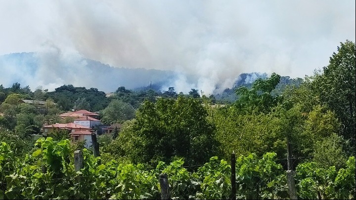 Πολύ υψηλός κίνδυνος πυρκαγιάς κατηγορίας 4, σήμερα στον Έβρο