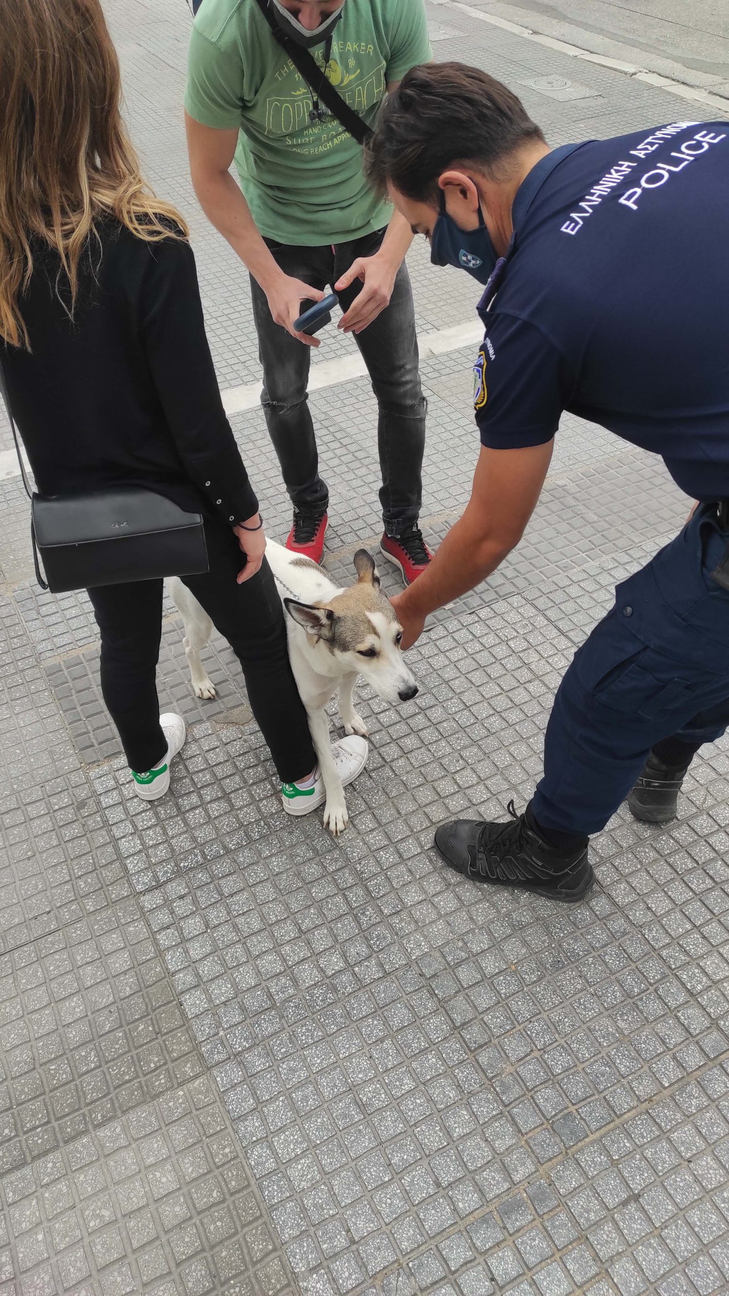 Έλεγχοι σε δεσποζόμενα ζώα συντροφιάς πραγματοποιήθηκαν από το Αστυνομικό Τμήμα Λευκού Πύργου