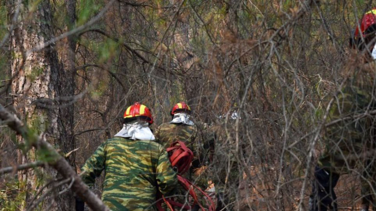 Συνδρομή των Ενόπλων Δυνάμεων στα μέτωπα των πυρκαγιών