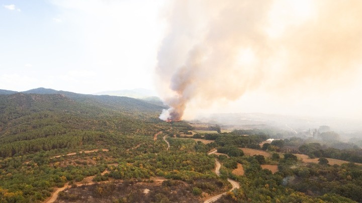 Η πτώση της έντασης των ανέμων και οι αντιπυρικές ζώνες ενισχύουν την άμυνα κατά του πύρινου μετώπου στον Έβρο