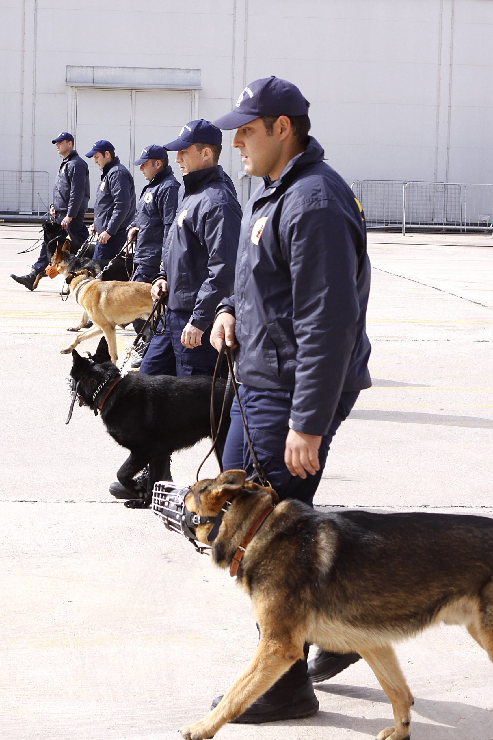 Ομάδα Σκύλων Ελληνικής Αστυνομίας