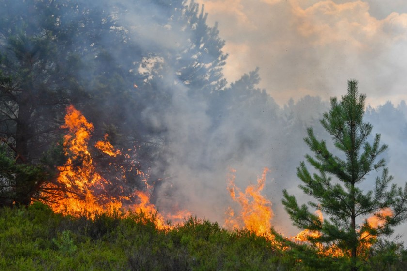 Πολύ υψηλός κίνδυνος πυρκαγιάς σήμερα σε Αττική, Στ. Ελλάδα και Β. Αιγαίο
