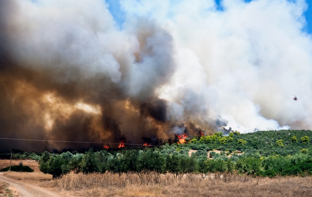 Μεγάλη η έκταση της φωτιάς σε Νέα Αρτάκη και Ψαχνά Ευβοίας – Στις φλόγες το παραλιακό μέτωπο της Βοιωτίας