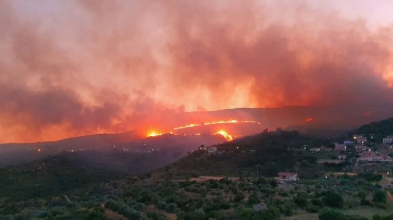 Υπό μερικό έλεγχο η πυρκαγιά στη Βασιλική Ιεράπετρας