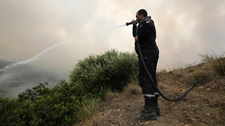 Τουλάχιστον 34 νεκροί στις φονικές πυρκαγιές στην Αλγερία – Ανάμεσά τους 10 στρατιωτικοί