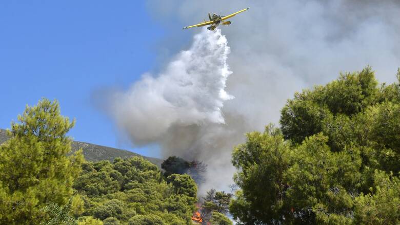 Πολύ υψηλός κίνδυνος πυρκαγιάς για την περιφέρεια Β. Αιγαίου – Συστάσεις προς τους πολίτες