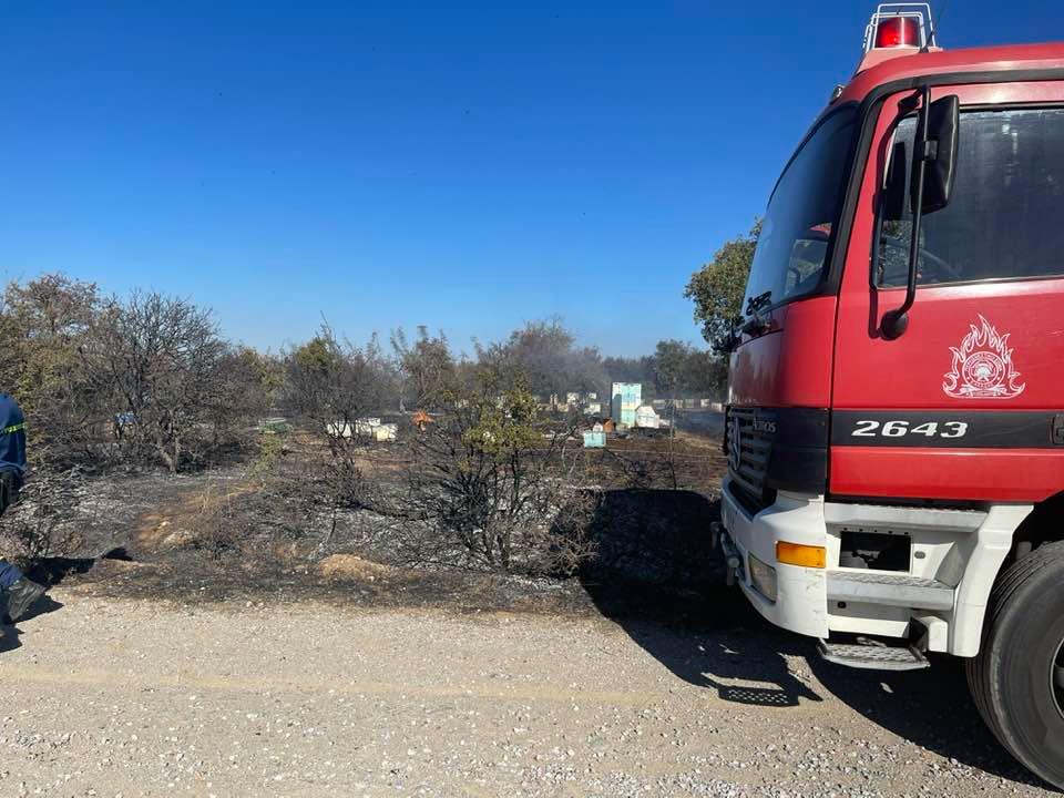 Πολύ υψηλός κίνδυνος πυρκαγιάς σήμερα για Αττική και Περιφέρεια Στερεάς Ελλάδας