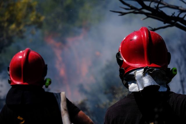 Ενισχύονται οι δυνάμεις για την κατάσβεση της πυρκαγιάς στην Κεφαλονιά