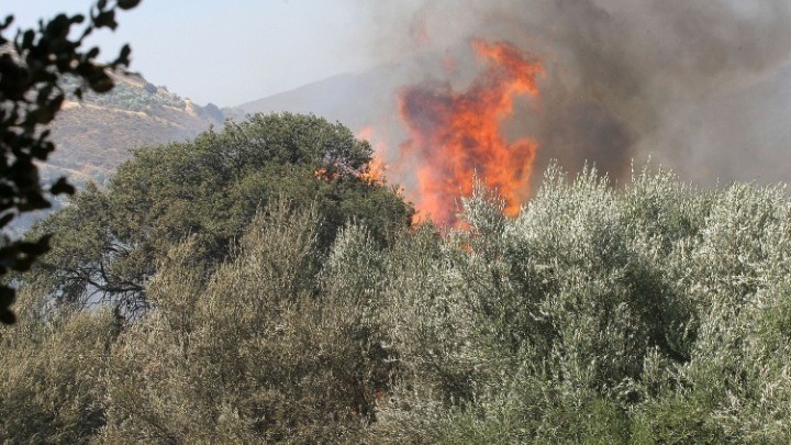 Ρέθυμνο: Υπό πλήρη έλεγχο τα μέτωπα της φωτιάς