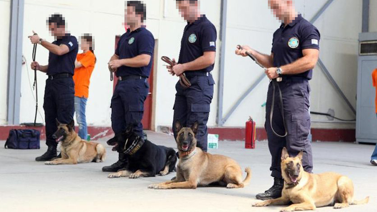 Λιμενικό: Σκύλοι ανίχνευσης ναρκωτικών ουσιών – Το κόστος στους συνοδούς (!)