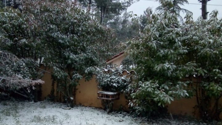 Τα πρώτα χιόνια και σε ημιορεινές περιοχές της Θεσσαλονίκης – Πού χρειάζονται αντιολισθητικές αλυσίδες