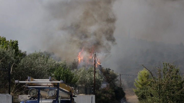 Άνδρας βρέθηκε νεκρός σε δασική έκταση στον Άγιο Γεώργιο Φερών της Μαγνησίας