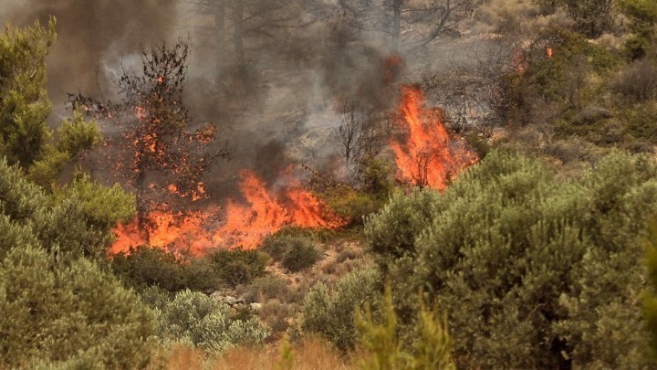 Συλλήψεις και διοικητικά πρόστιμα σε διάφορες περιοχές της Ελλάδας για πρόκληση πυρκαγιάς