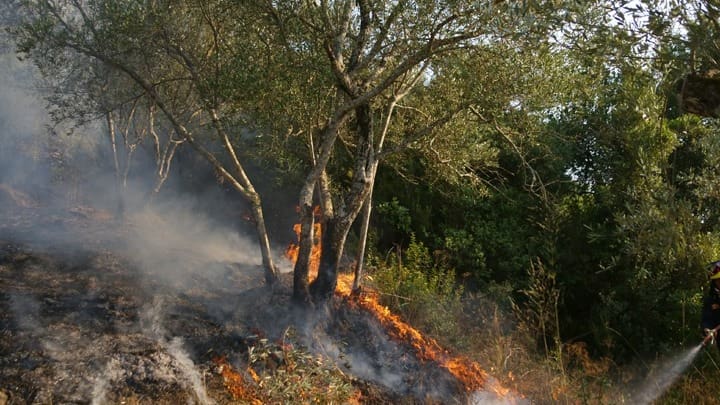 Υπό μερικό έλεγχο η πυρκαγιά σε αγροτοδασική έκταση στους Κήπους Βραυρώνας