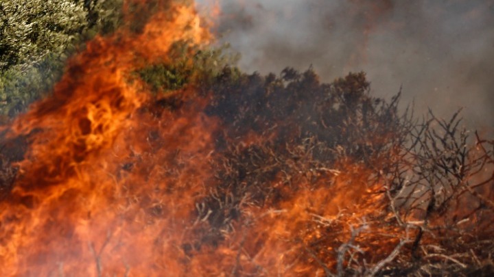 Π.Υ: Σύλληψη και επιβολή διοικητικών προστίμων σε Κορινθία, Ρέθυμνο, Ιθάκη, Λάρισα και Σέρρες