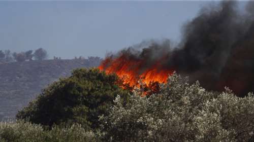 Σε εξέλιξη πυρκαγιά σε χαμηλή βλάστηση στην περιοχή Φανερωμένη Ασπροπύργου