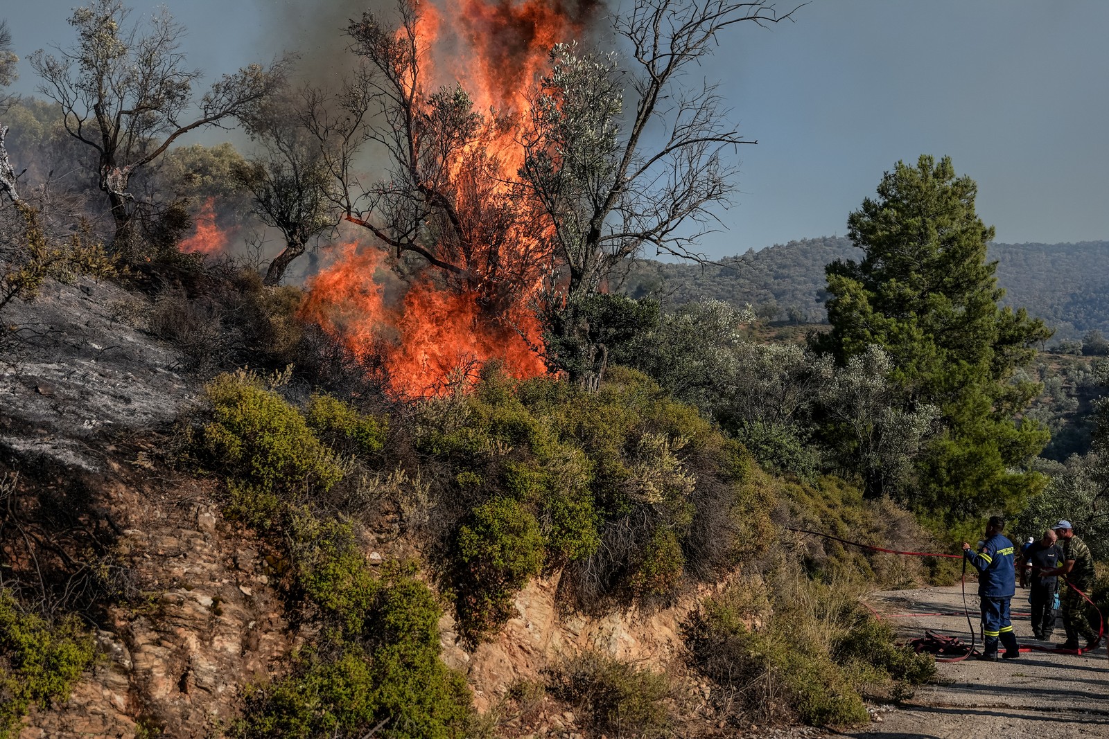 Πυρκαγιά σε αγροτοδασική έκταση στη Μεγαλόπολη Αρκαδίας