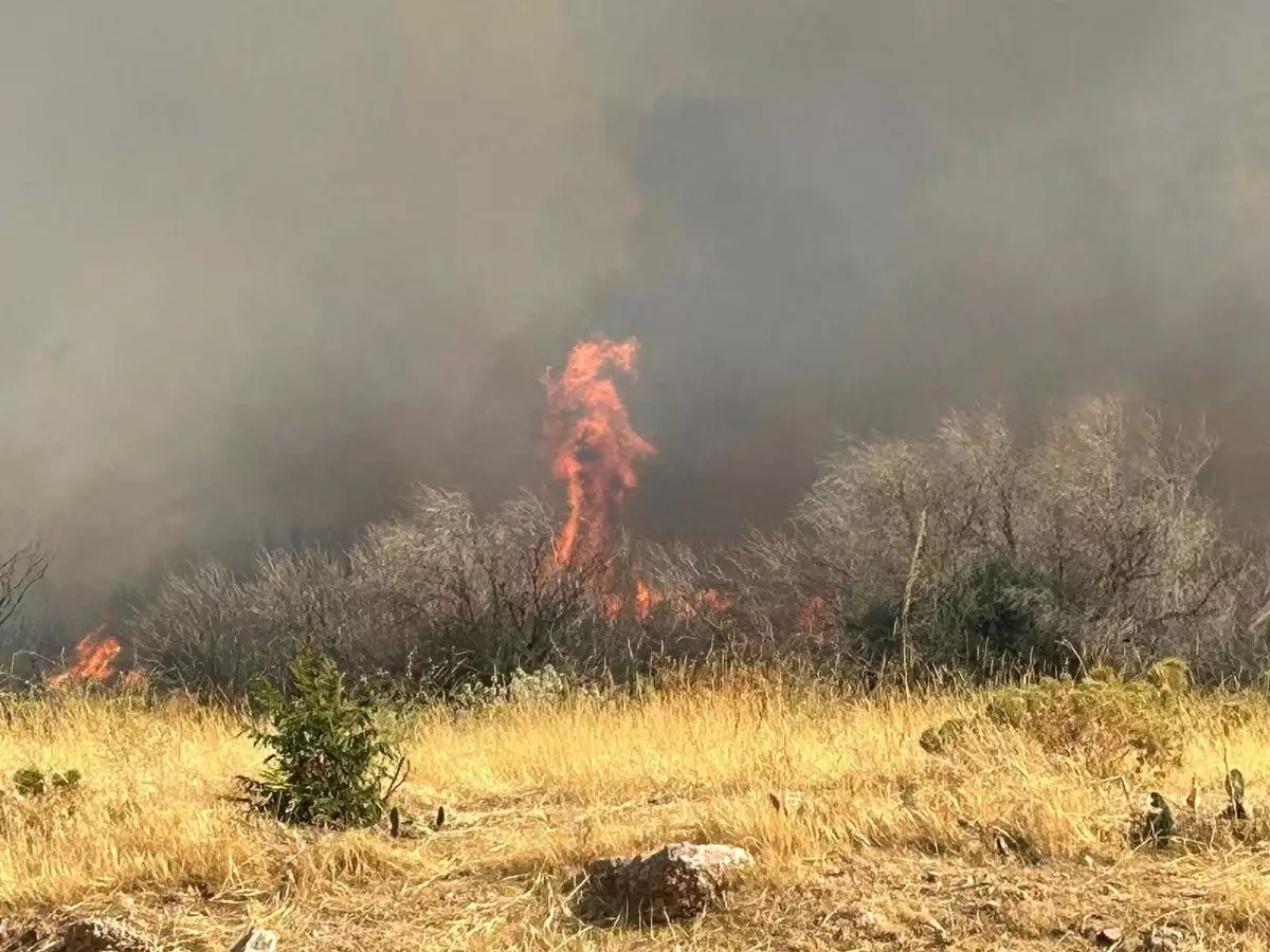 Οριοθετήθηκε η πυρκαγιά στην περιοχή Φέριζα στην Κερατέα
