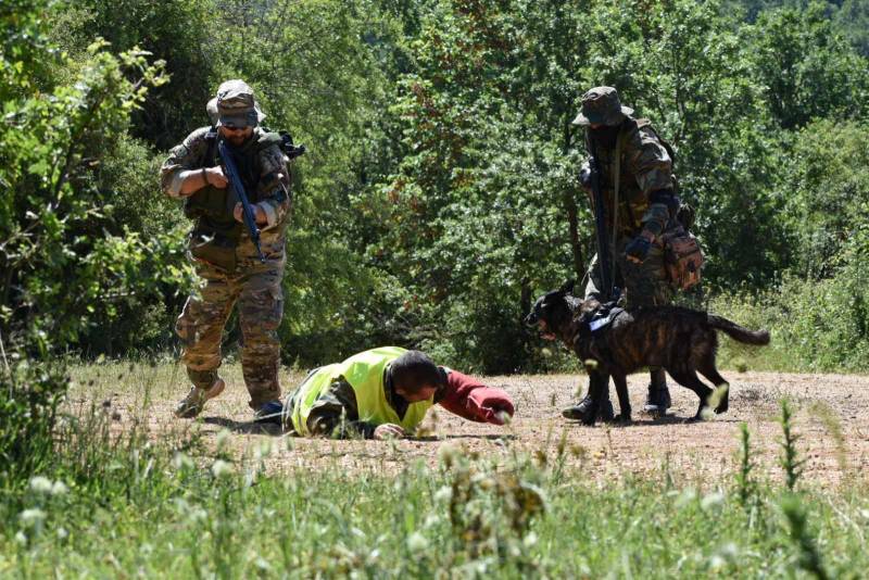 ΤΑΜΣ «ΔΥΝΑΜΙΚΗ ΑΝΤΙΔΡΑΣΗ – 24»