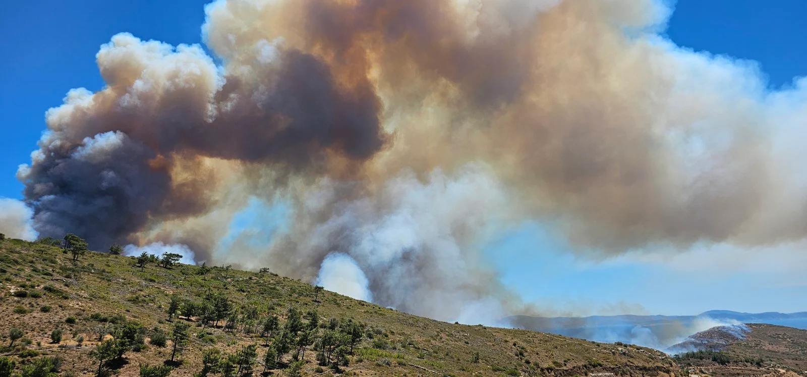 Συνελήφθη 63χρονος για την πυρκαγιά στη Χίο