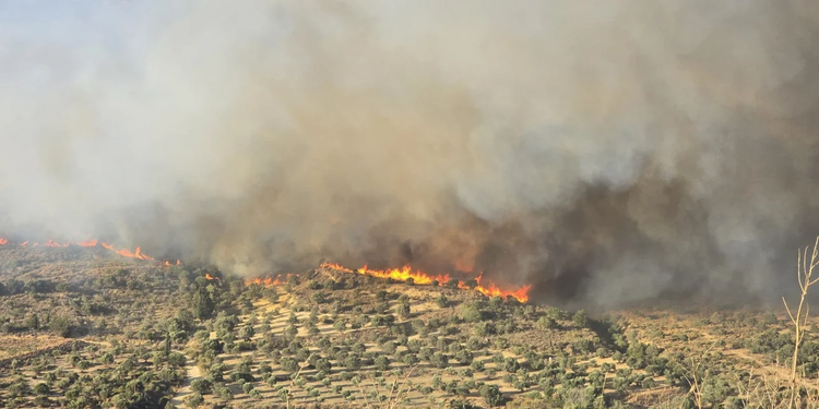 Καλύτερη εικόνα στις πυρκαγιές σε Κω και Χίο