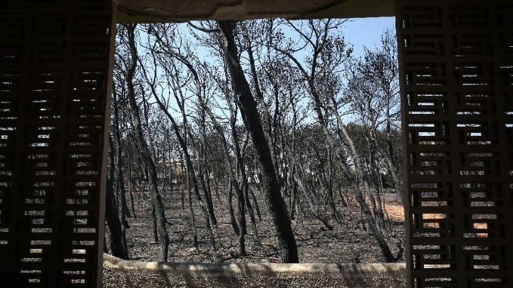 Συνεχίζεται σήμερα η δευτεροβάθμια δίκη για την τραγωδία στο Μάτι