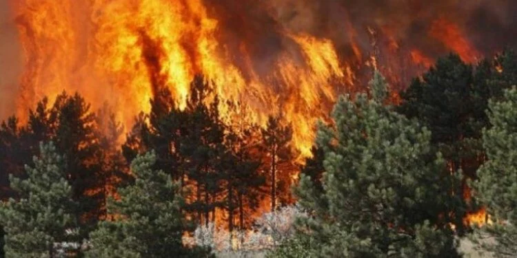 Σφοδρή πυρκαγιά στην περιοχή του Αργυροκάστρου