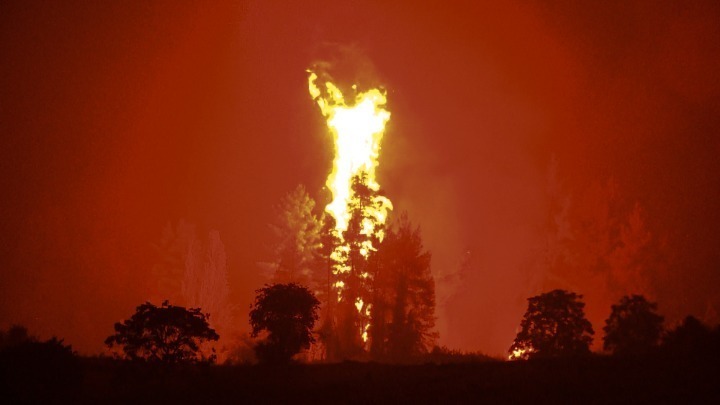 Θάσος: Κεραυνοί προκάλεσαν δύο δασικές πυρκαγιές στην Παναγιά και τη Σκάλα Ποταμίας