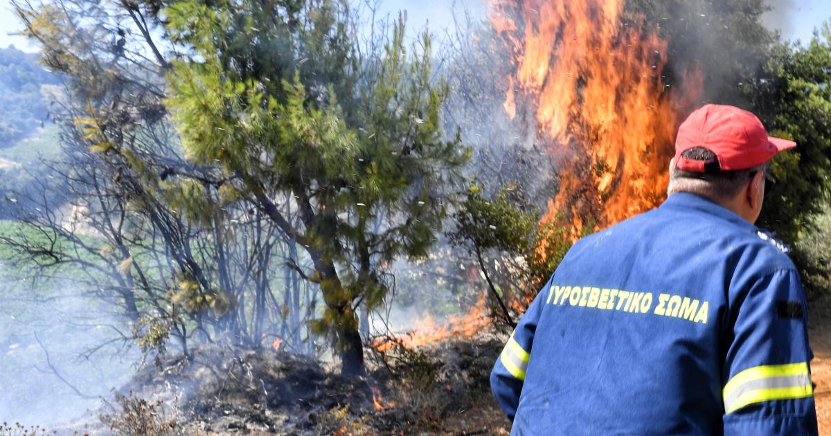 Πυροσβεστική: 31 αγροτοδασικές πυρκαγιές σε 24 ώρες