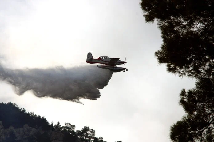 Φωτιά σε δασική έκταση στην Αγία Παρασκευή του Πετρωτού Αχαΐας