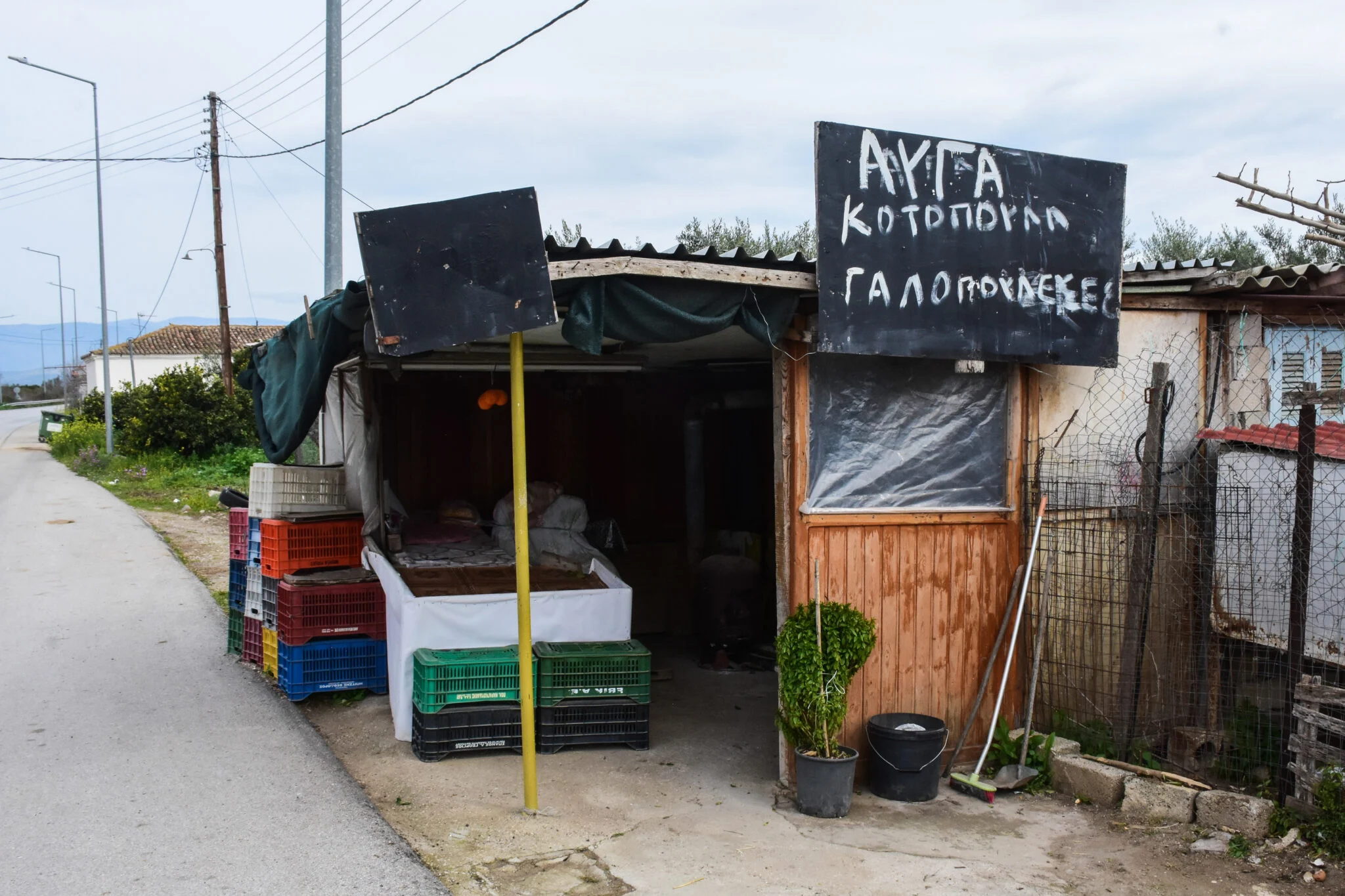 Ναύπλιο: 72χρονη σκότωσε 50χρονο ληστή με μαχαίρι