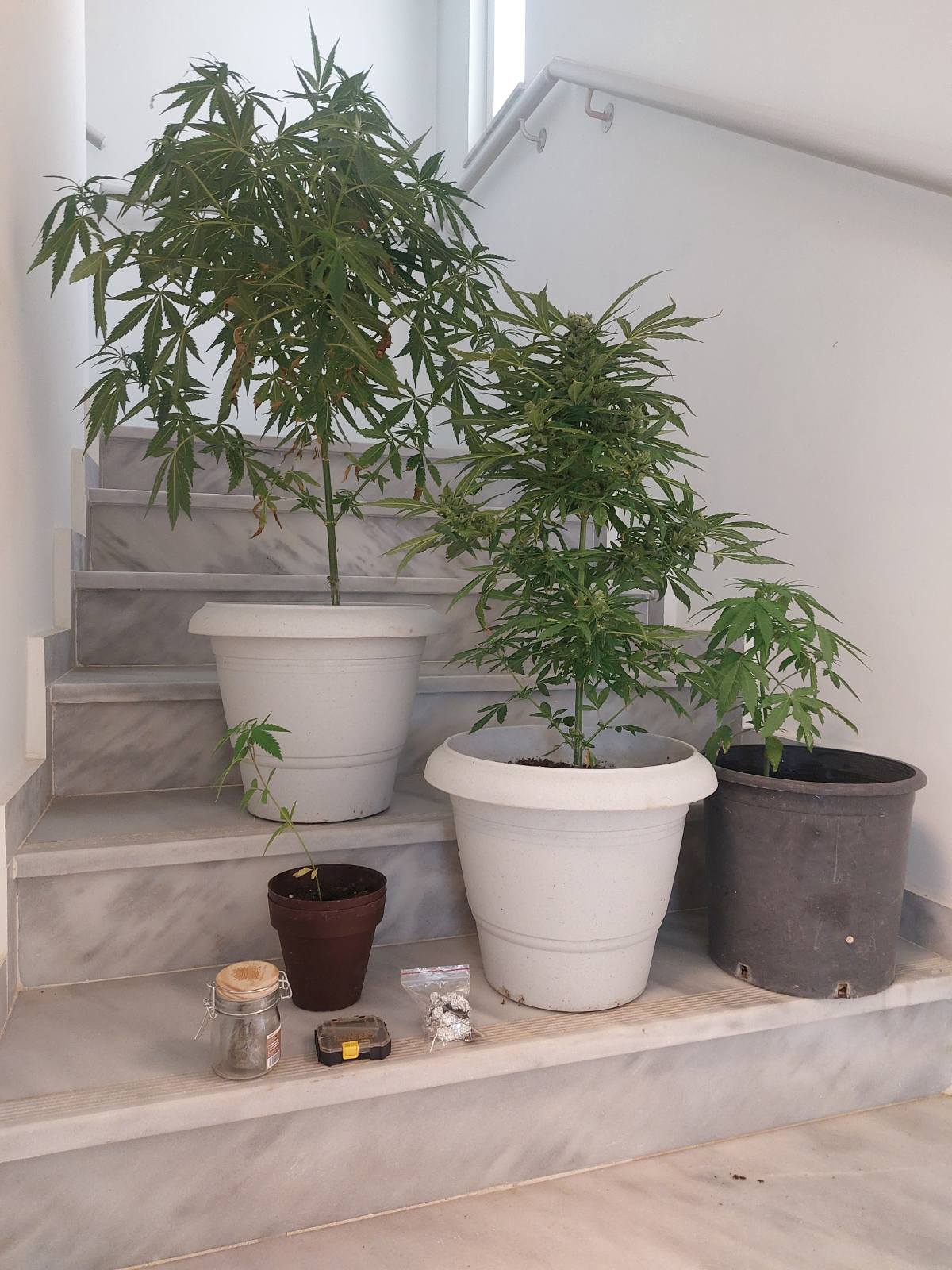 Δύο συλλήψεις για ναρκωτικά σε περιοχή του Δήμου Κισσάμου