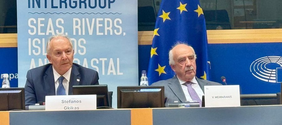 Τι είπε ο Στέφανος Γκίκας στο Ευρωπαϊκό Κοινοβούλιο