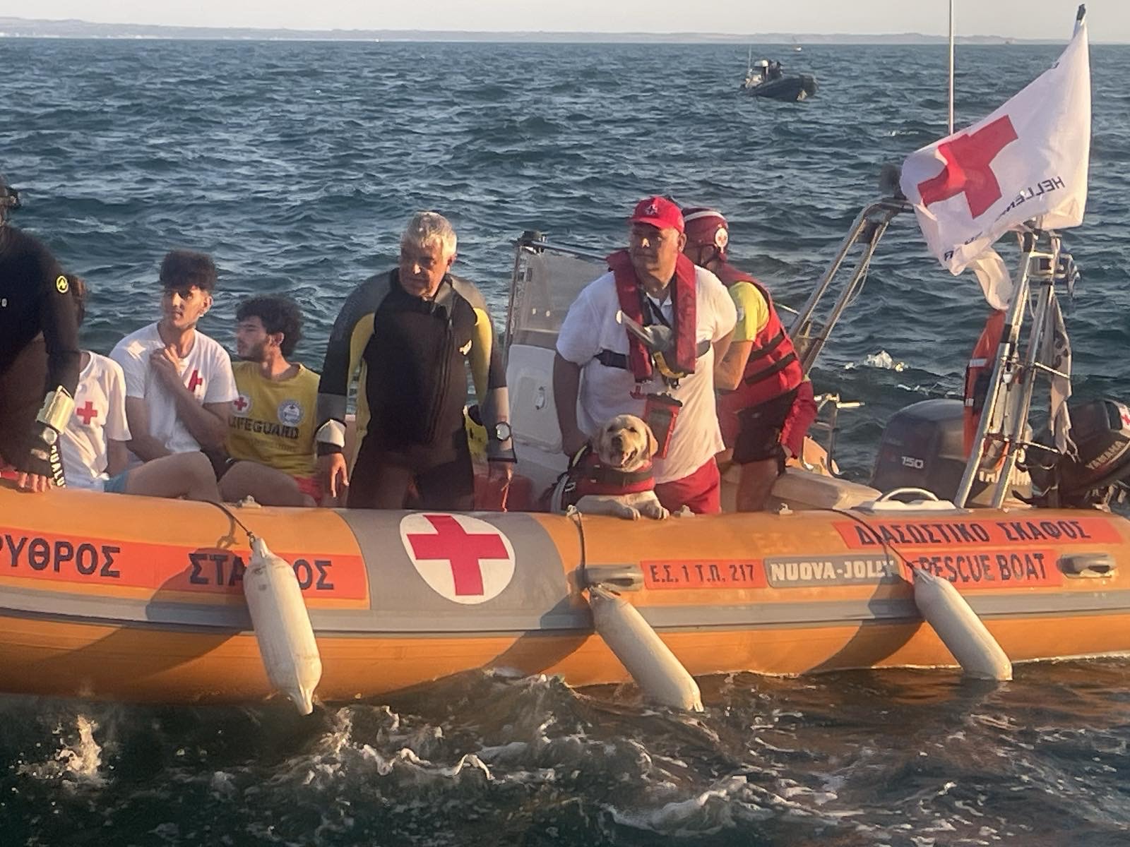 Ο Ε.Ε.Σ. εκπαιδεύει σκύλους-διασώστες για να επιχειρούν στο πλευρό των Ναυαγοσωστών στο υγρό στοιχείο (βίντεο)