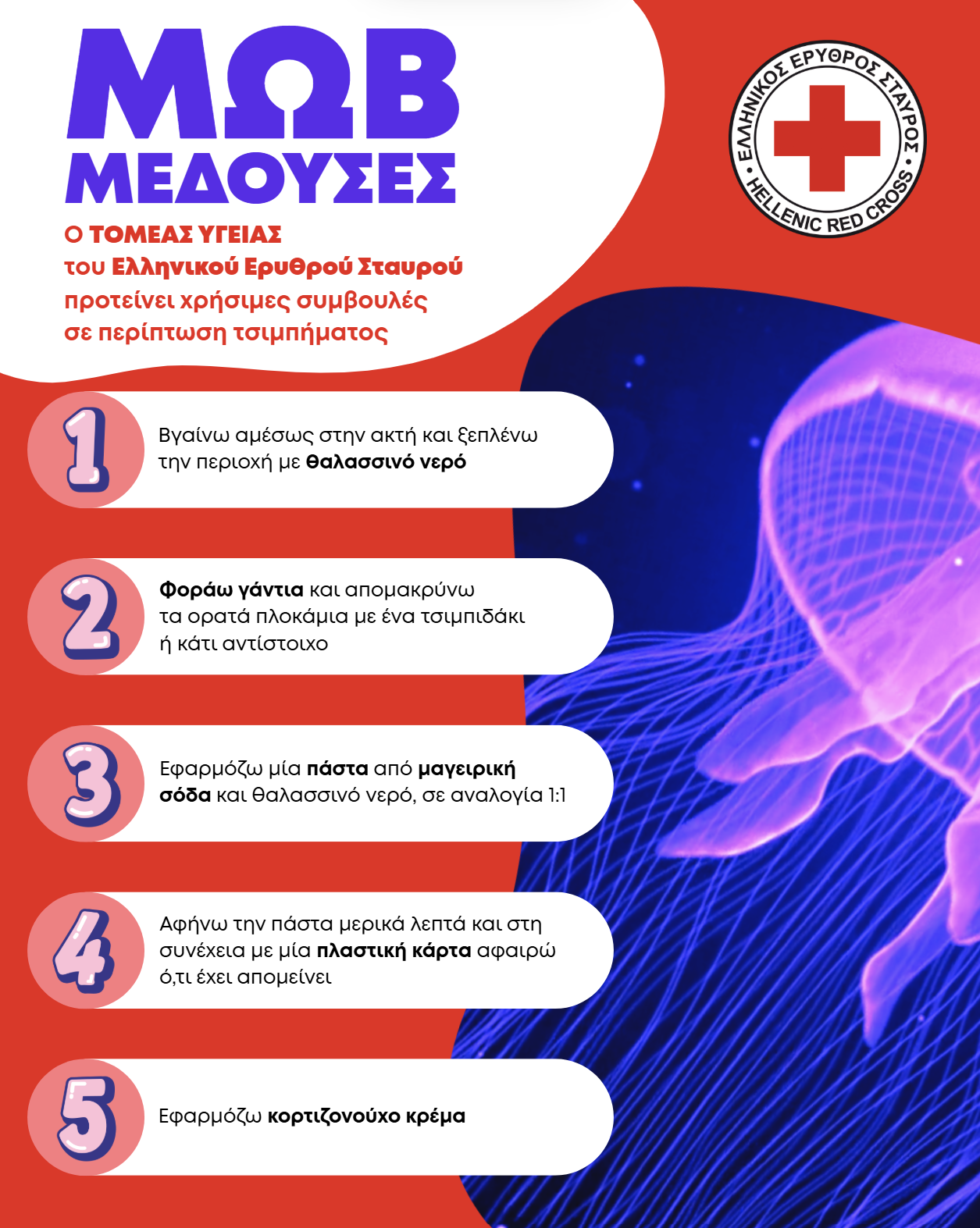 Ο Ε.Ε.Σ. προτείνει 8 χρήσιμες οδηγίες για την αντιμετώπιση τσιμπήματος από μωβ μέδουσα (βίντεο)