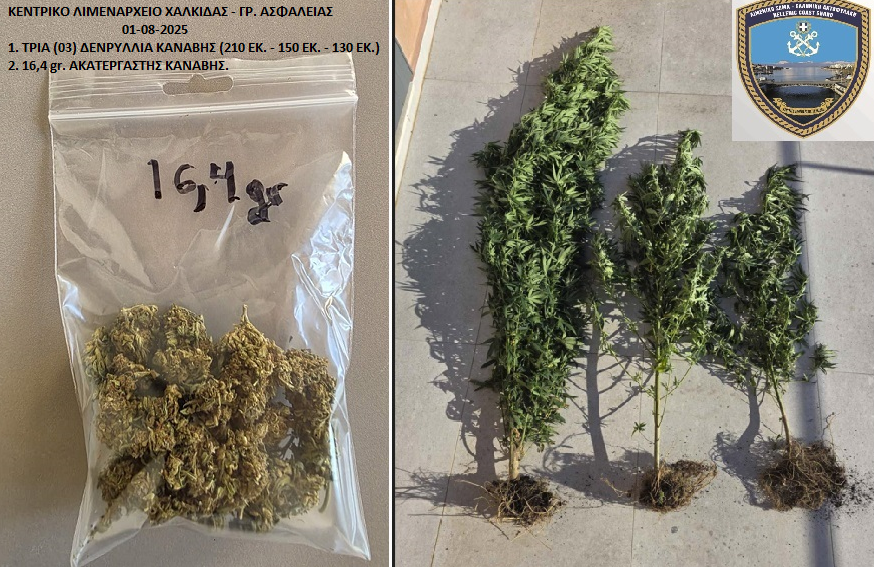 Σύλληψη 60χρονου για ναρκωτικά, στη Χαλκίδα