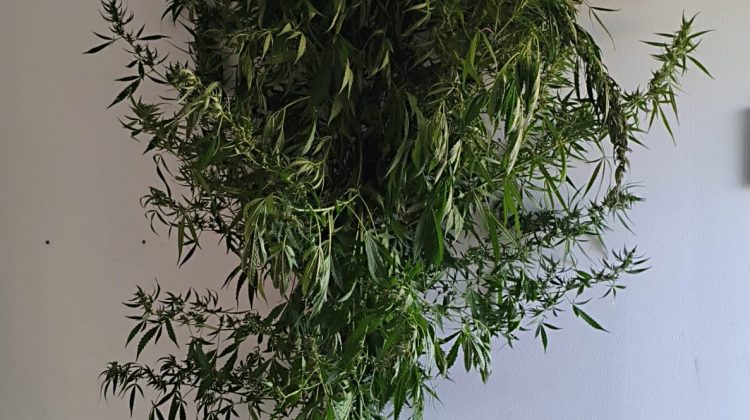 Σύλληψη 40χρονου για ναρκωτικά, σε περιοχή του Δήμου Φαιστού