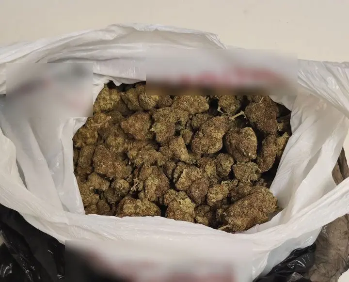 2 συλλήψεις ατόμων από Ομάδες ΔΙ.ΑΣ. για διακίνηση ακατέργαστης κάνναβης στην περιοχή της Κυψέλης