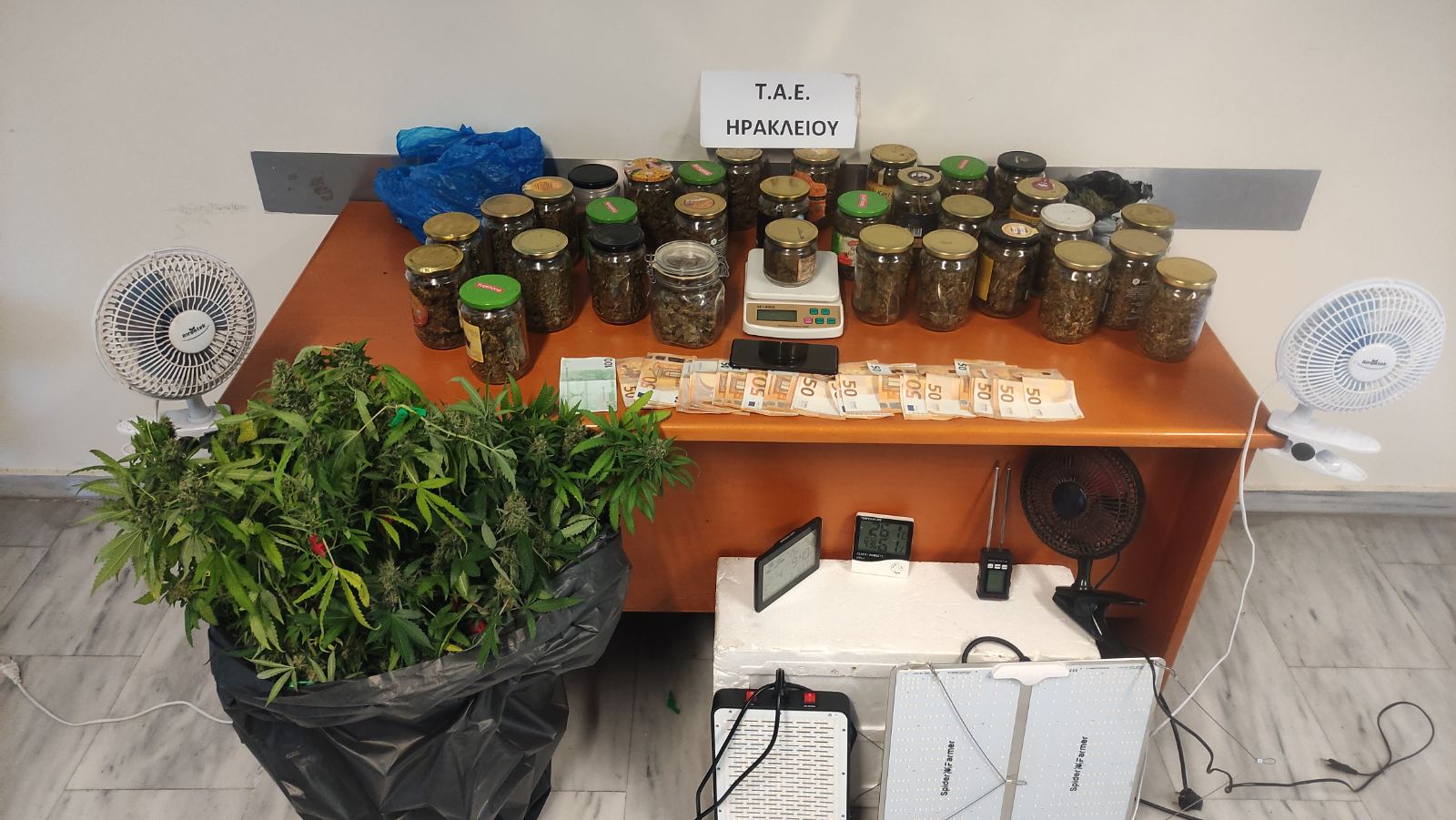 Ηράκλειο: 65χρονος καλλιεργούσε δενδρύλλια κάνναβης σε ειδικά διαμορφωμένο χώρο