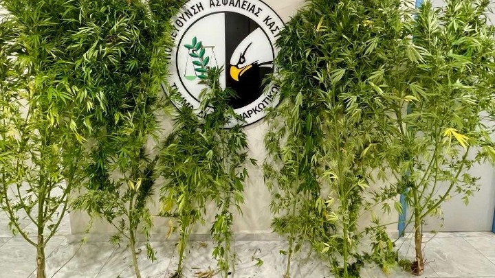 Ο «Ορφέας» ξετρύπωσε τα ναρκωτικά στο σπίτι και το αγρόκτημα 54χρονου