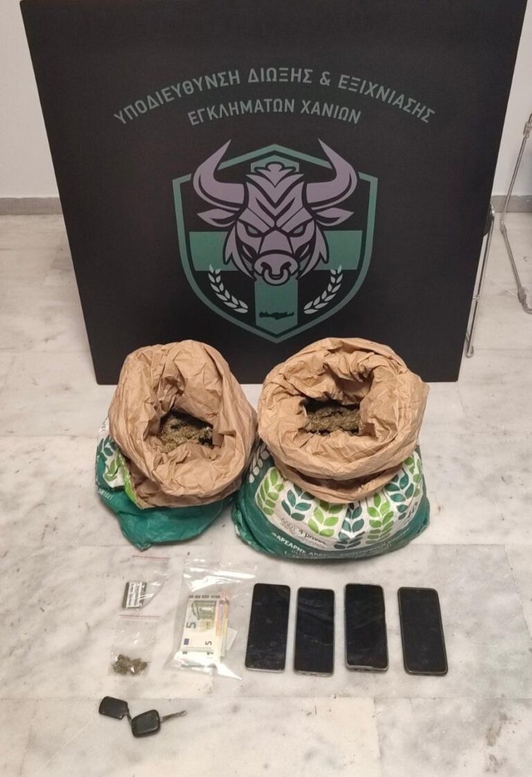 Χανιά: Σε ειδικά διαμορφωμένο χώρο εκριζώθηκαν 130 δενδρύλλια κάνναβης (βίντεο)